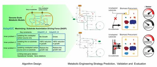中國科學院天津工業生物技術研究所推動生物技術開發與應用