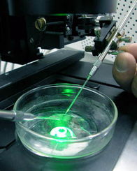 2021年中國生物技術開發(fā) 創(chuàng)新驅(qū)動與產(chǎn)業(yè)升級的新篇章